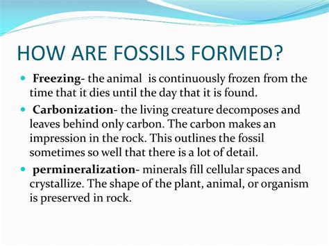 Image result for How Fossils Are Formed Research