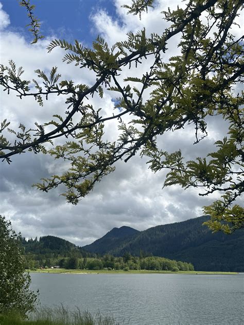 Alder Lake Park - Visit Rainier