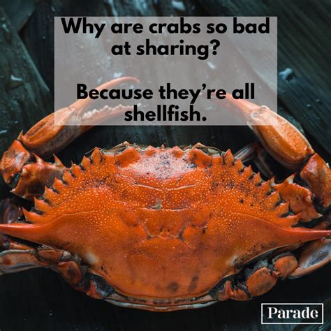 135 Good, Clean Jokes That'll Make You Laugh - Parade