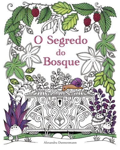Buy O Segredo Do Bosque: Procura as Jóias Escondidas. Um Livro Para ...