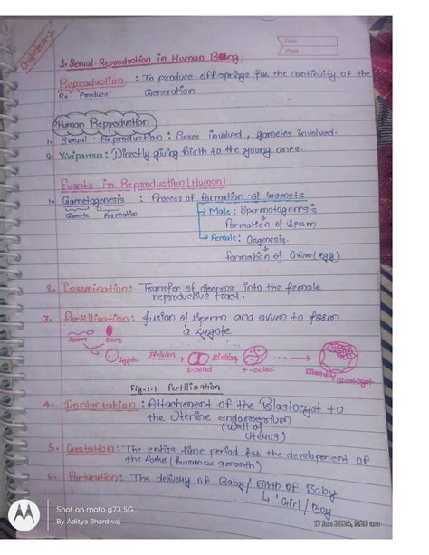 Image result for Animal Reproduction Grade 12