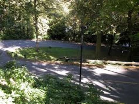 Davis Park , highland park, United States Of America - Top Attractions ...