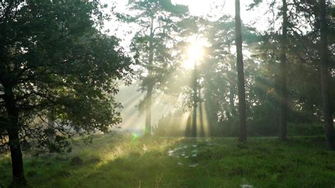 Image result for Power Vision Installation