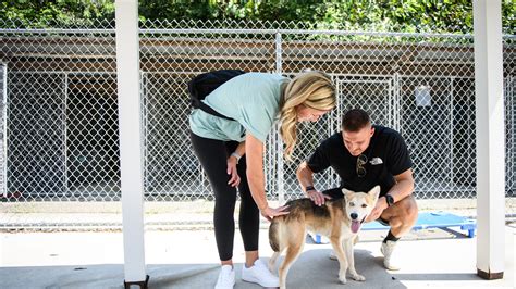 PHOTOS: Adoptable pets at Fayetteville Animal Protection Society