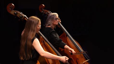 Double Bass Player Orchestra