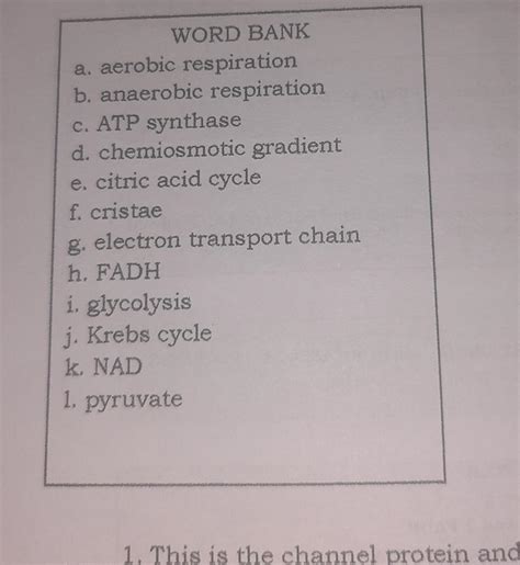 1. This is the channel protein and enzyme that makes ATP. 2. It is also ...