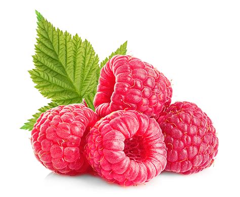 Raspberry Pink Definition at Hunter Lilley blog