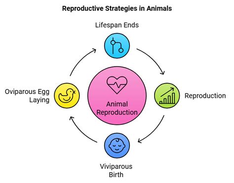 Reproduction in Animals Class 4 Notes Science Free PDF
