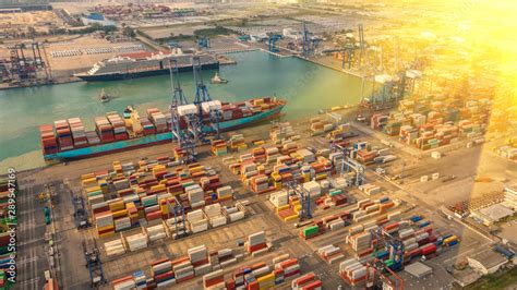 Export Import 的图像结果