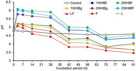 Water Hyacinth Biochar: A Sustainable Approach for Enhancing Soil ...