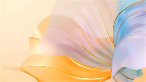 Professional Background 的图像结果