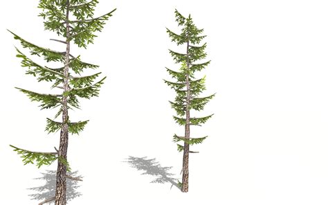 Making Realistic Model Fir Trees 的图像结果