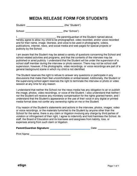 Image result for Media Release Form Template