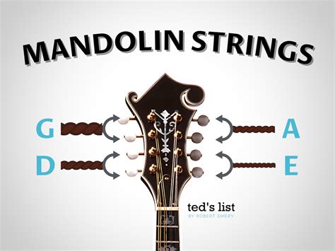 Image result for Mandolin Tuning Notes