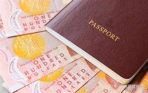 预告 远程申请入籍 第二国护照递到你家 正式上线日期：6月10 日