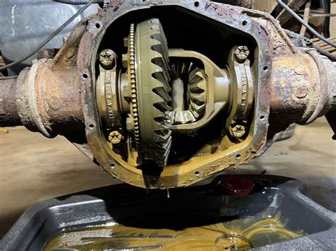 Image result for Front Diff Service