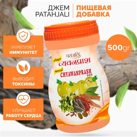 PATANJALI Special Chyawanprash Чаванпраш 500г купить на OZON по низкой ...