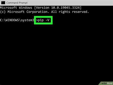 PIP Update Command 的图像结果