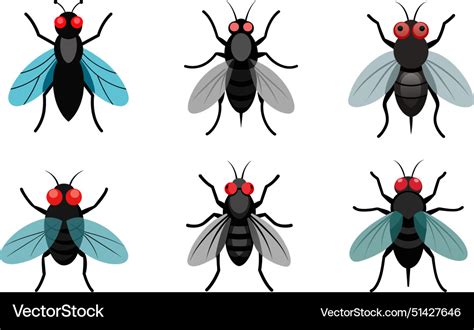 Image result for Fly Logo Animation Inspiration