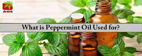 Health Benefits Peppermint Oil - How to Use | AOS Blog