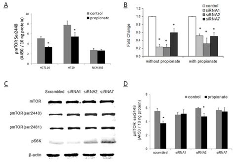 Kinases and Phosphatases | Special Issue : The PI3K Pathway in Human ...