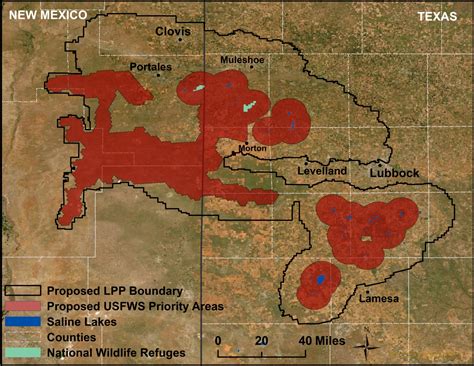 muleshoe-grulla-landprotectionplan-proposedmap | FWS.gov