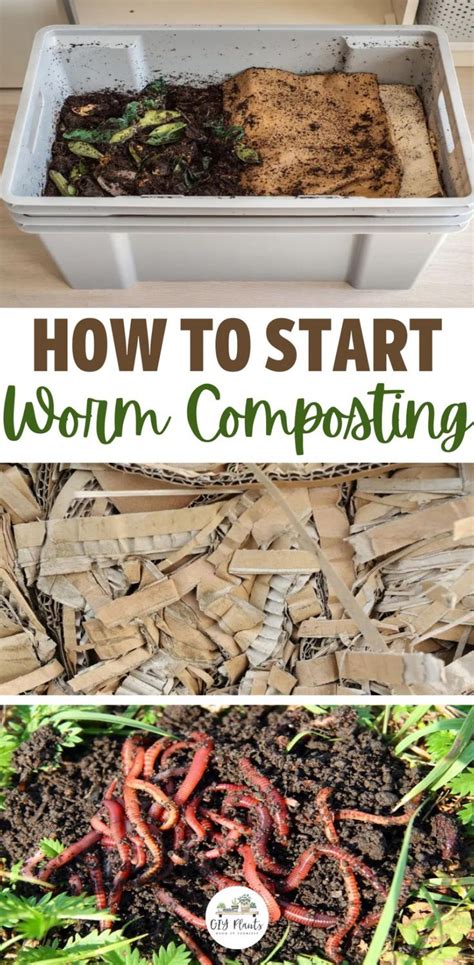 Image result for Worm Composting