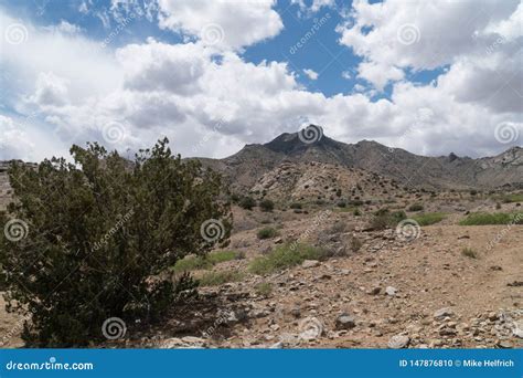 Florida Mountains New Mexico