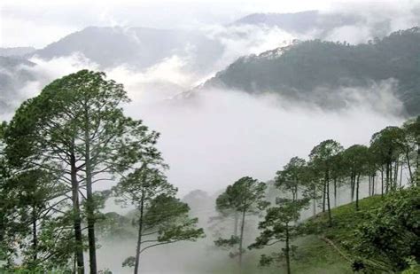 38 Best Romantic Honeymoon Places In South India To Visit