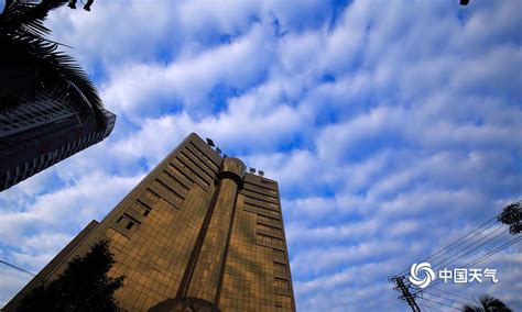 横县：天空出现鱼鳞云-广西高清图片-中国天气网