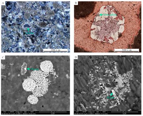 Lacustrine Shale Diagenesis—A Case Study of the Second Member of the ...