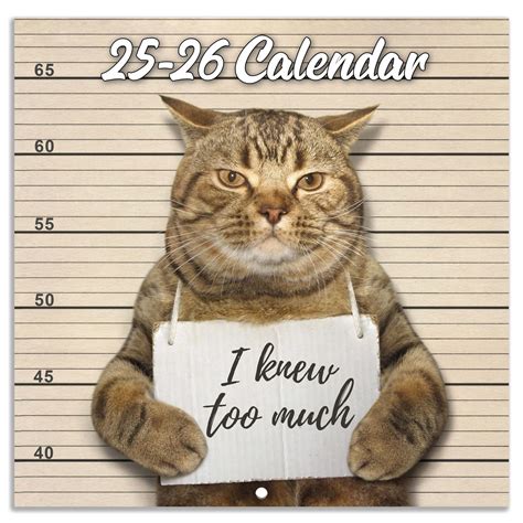 Buy 2025-2026 Wall - July 2025 - December 2026, Funny Cat 2025-2026, 18 ...