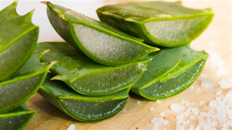 Tipos de Aloe Vera o Sábila