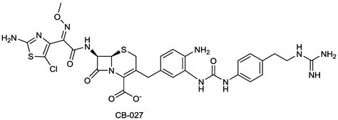 β-Lactam Antibiotics Renaissance