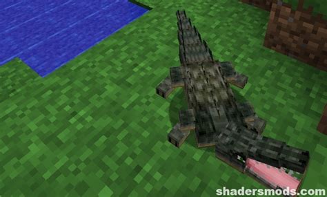 Mo’ Creatures Mod 1.12.2 → 1.6.4 • How To Download & Installation Guide