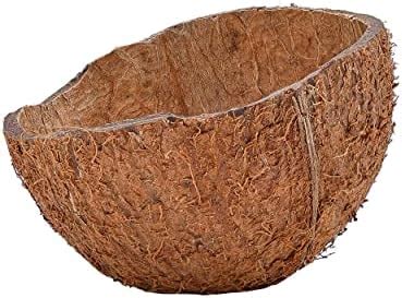 Buy Natural Coconut Shells 2kg Online at Low Prices in India - Amazon.in
