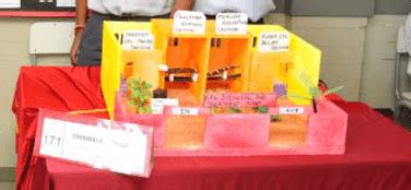 CBSE Science Projects 的图像结果