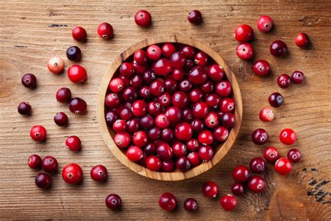 Can Chickens Eat Cranberries? - Backyard Poultry