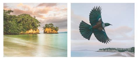 Inspired by Nature Art Exhibiton by Kim Randall & Keerti Siag, 4 Toroa ...