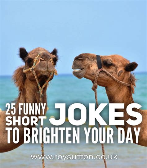 25 funny short jokes to brighten your day | Short jokes funny, Short ...