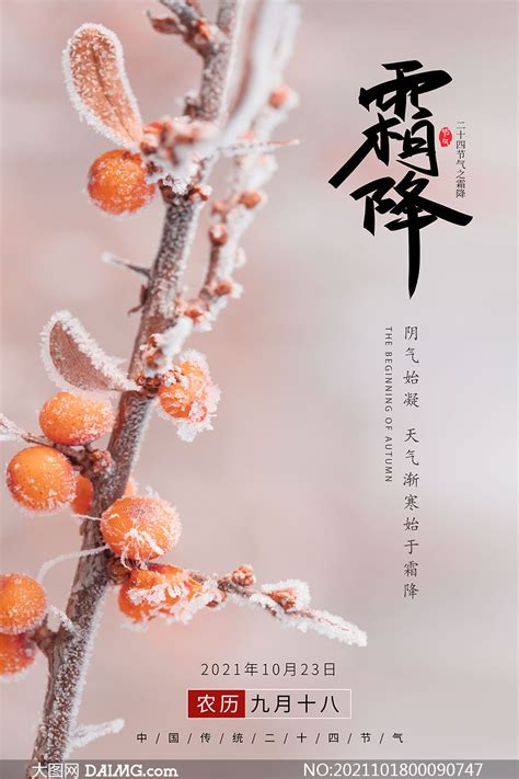 结霜的树枝主题霜降节气海报PSD素材_大图网图片素材