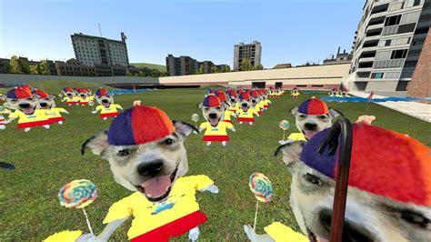 Propeller Hat and Lollipop Dog: Image Gallery | Know Your Meme