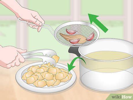 Image result for Cook Turtle