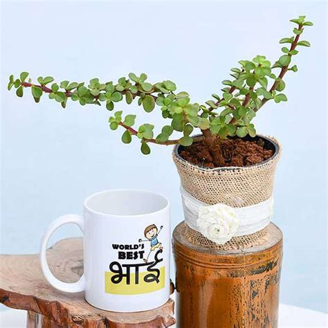 Buy Best Jade Plant with Mug for Worlds Best Brother online from ...