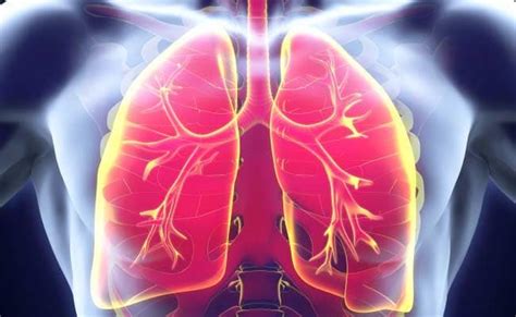 Lung Cancer Signs: लगातार खांसी के साथ शरीर में ये बदलाव हो सकते हैं ...
