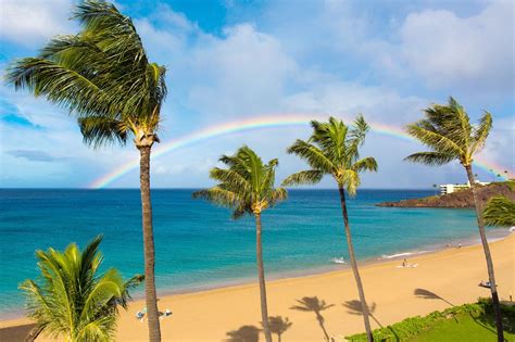 Best Beaches In Maui In January at Steven Morton blog