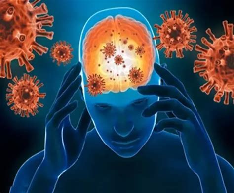 Tricking their way into the brain|SDCINDIA