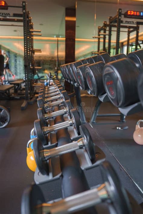 5 Star Hotel Gym 的图像结果