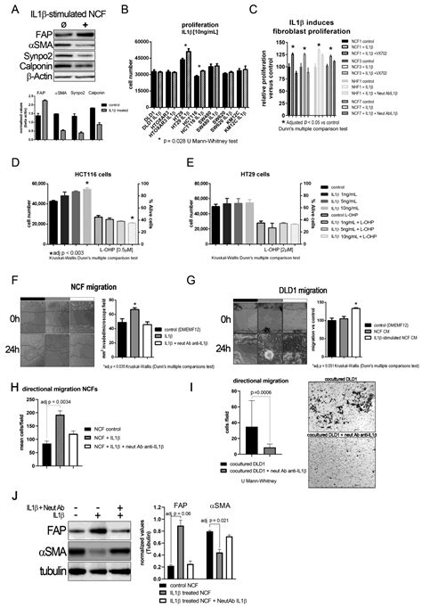The Blockade of Tumoral IL1β-Mediated Signaling in Normal Colonic ...