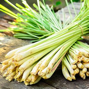 Vaadi Herbals Lemongrass Anti Pigmentation Face Pack, 70g : Amazon.in ...